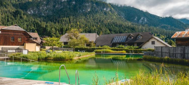 欧洲公园赫尔马戈尔纳斯菲尔德(EuroParcs Hermagor - Nassfeld)图片