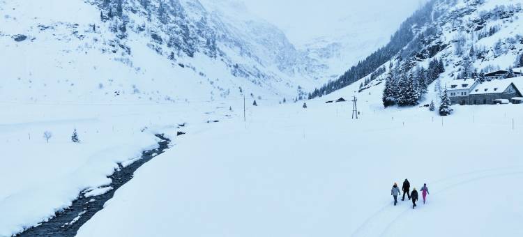 A-ROSA Collection 施特劳宾格大酒店(A-Rosa Straubinger Grand Hotel Bad Gastein - Adults Only)图片