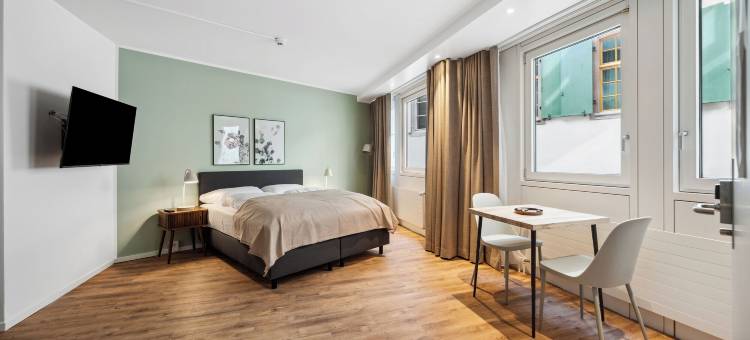 巴塞尔市政厅Limehome(Limehome Basel Town Hall)图片