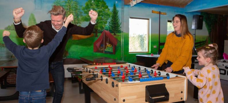 布拉班特的小房子，带舒适露台(Tiny House in Brabant with Cozy Terrace)图片