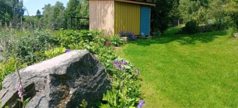 Damwildfarm in Rollerbü Südschweden图片