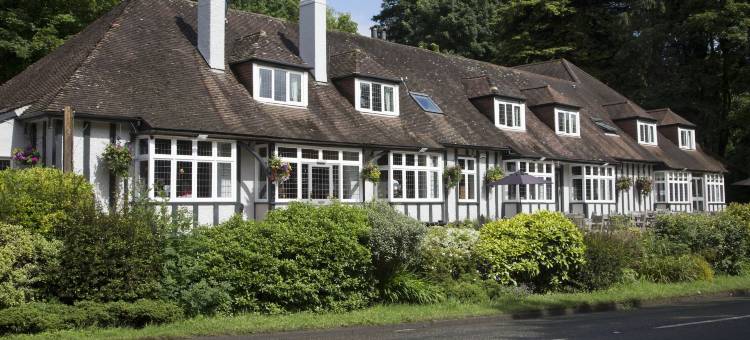 巴克法斯特达塔布瑞旅馆 - 格林国王旅馆(Dartbridge Inn by Greene King Inns)图片