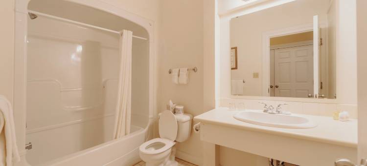 福斯特酒店(Foster's Inn)图片