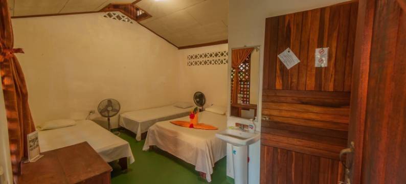 3 月阳台托尔图格罗小屋酒店(Cabinas Balcon del Mar Tortuguero)图片