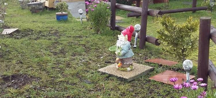 林孔奥斯塔小屋酒店(Cabañas Rincon Austral)图片