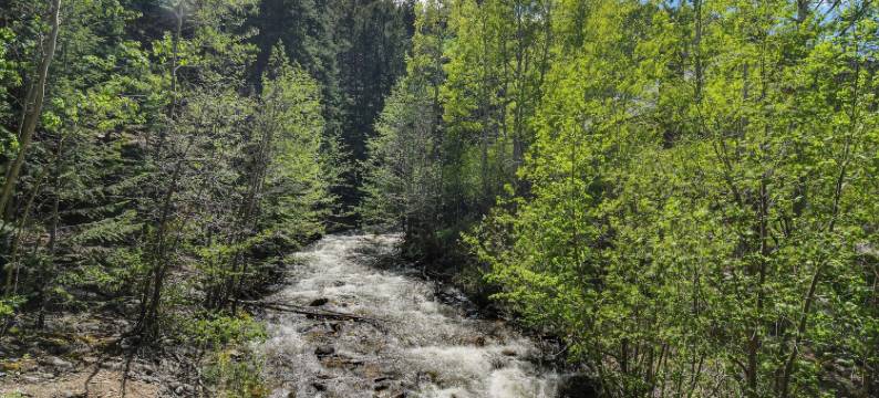 清溪小屋：霍比特人的度假屋！(Cabin on Clear Creek A Hobbits Retreat!)图片