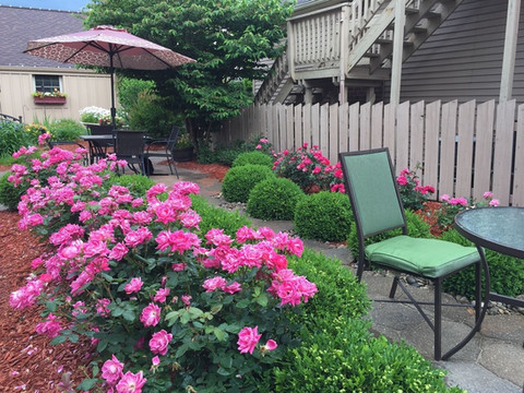 韦勒豪斯民宿及活动中心