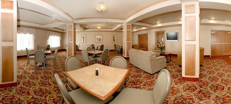 舒适套房酒店(Comfort Inn & Suites)图片