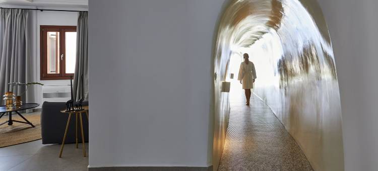 佩提宫套房酒店(Petit Palace Suites)图片