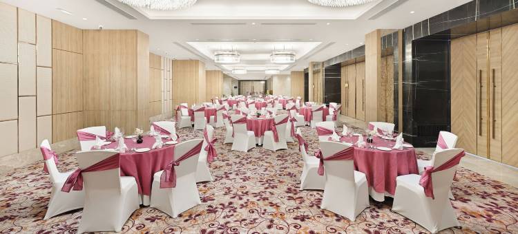 古尔冈90区假日酒店(Holiday Inn Gurugram Sector 90)图片