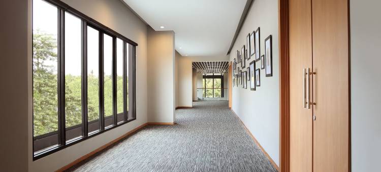 北干巴鲁巴提卡酒店(BATIQA Hotel Pekanbaru)图片