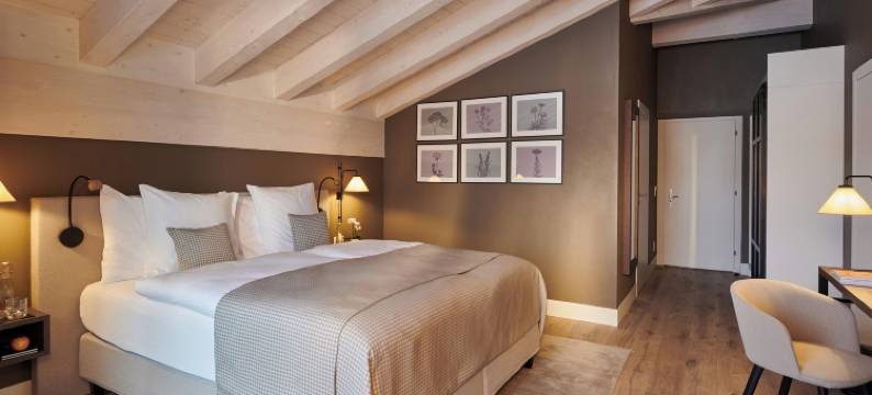 SCHLOSS Zermatt - CBD及适应原水疗和运动酒店(Schloss Zermatt - CBD & Adaptogenic Spa and Sport Hotel)图片