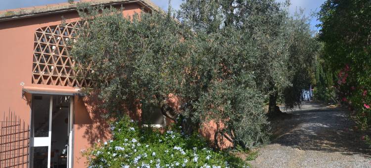 Charming Tuscan Home Wi-Fi图片