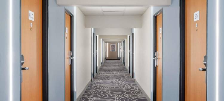 诺富特-塞格德酒店(Novotel Szeged)图片