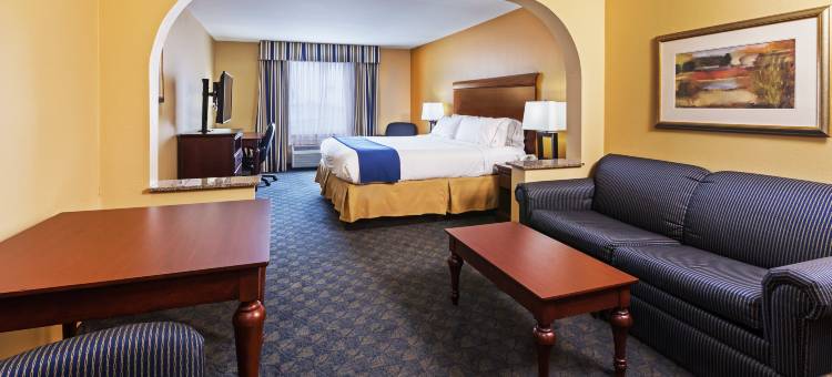 洲际智选假日酒店及套房科珀斯克里斯蒂西北 - 卡拉伦(Holiday Inn Express & Suites Corpus Christi NW - Calallen)图片