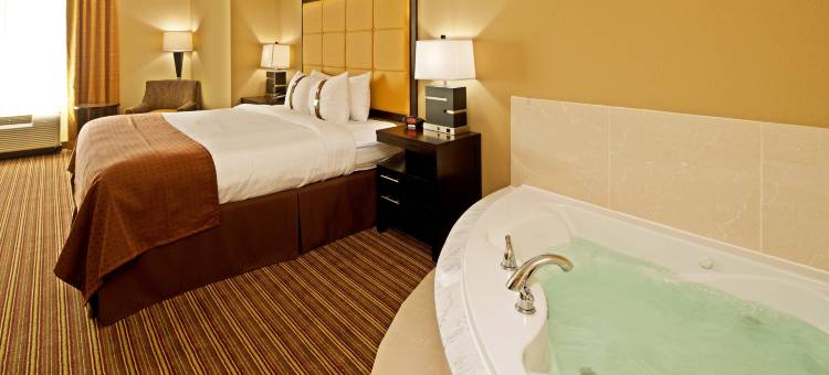 Holiday Inn 莫比尔- 机场(Holiday Inn Mobile - Airport)图片