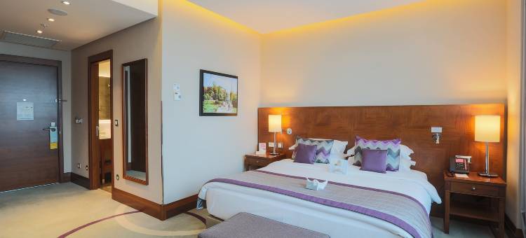 伊斯坦布尔奥利亚帕尔克皇冠假日酒店(Crowne Plaza ISTANBUL - ORYAPARK by IHG)图片