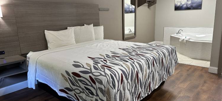 红屋顶旅馆及套房斯旺西(Red Roof Inn & Suites Swansea)图片