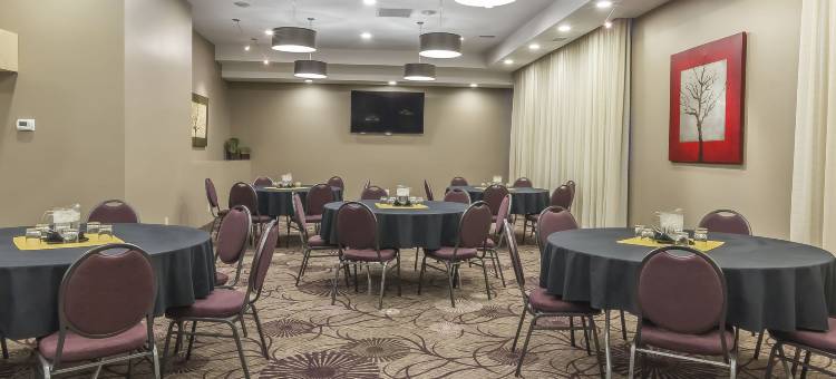 凯艺套房酒店(Quality Inn & Suites)图片