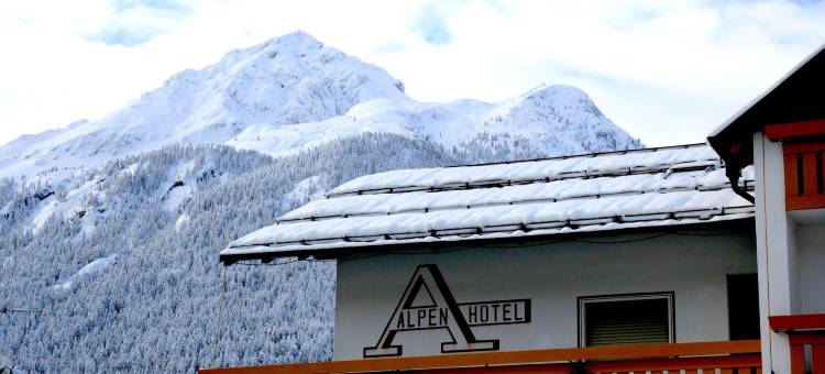 阿尔卑斯酒店(Hotel Alpen)图片