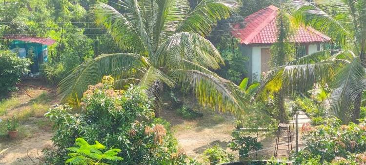 Shivansh 农业旅游和家庭寄宿(Shivansh Agro Tourism And Home stay)图片