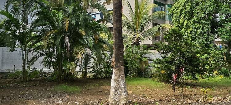 普拉布克鲁帕旅游农场(Prabhukrupa Tourist Farm)图片