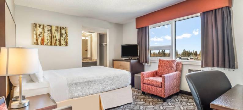 温德姆戴斯酒店艾尔德里(Days Inn by Wyndham Airdrie)图片