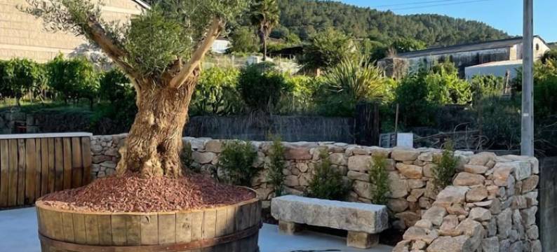 Cepas Da Cuenga图片