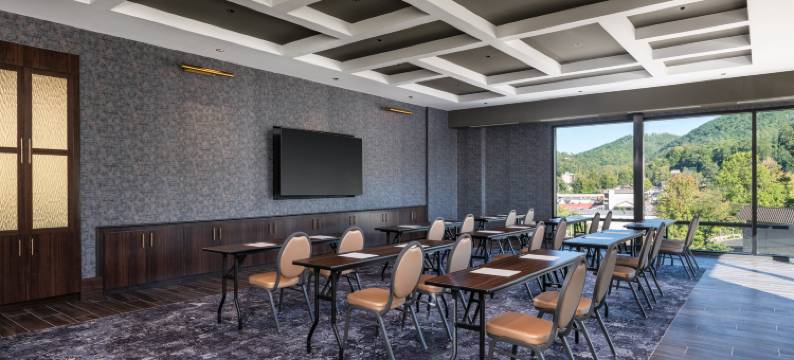 加德林堡市中心英迪格酒店(洲际酒店集团)(Hotel Indigo Gatlinburg Downtown by IHG)图片