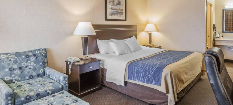 海湾舒适酒店(Comfort Inn on the Bay)图片