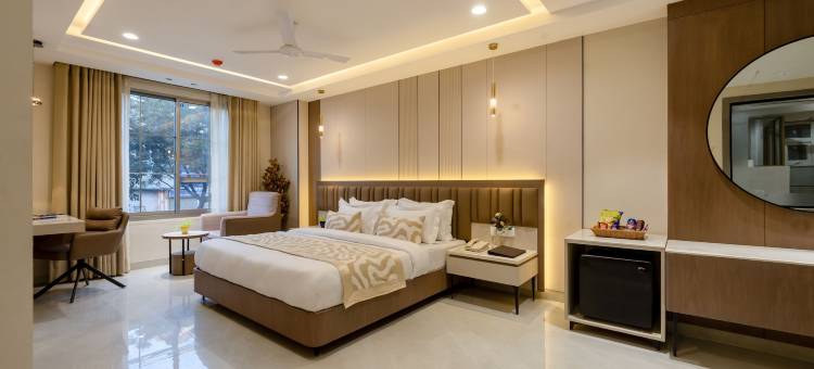 德里梦想 - 豪华酒店(The Delhi Dreams - A Luxury Hotel)图片