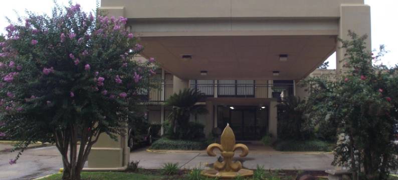 弗朗西斯酒店(Hotel Francis)图片