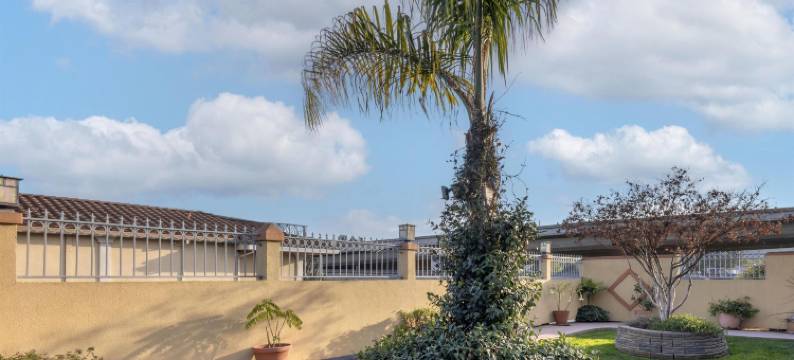 圣拉斐尔旅游宾馆(SureStay Hotel by Best Western San Rafael)图片