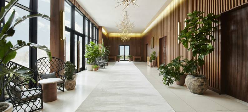 达拉斯维珍酒店(Virgin Hotels Dallas)图片