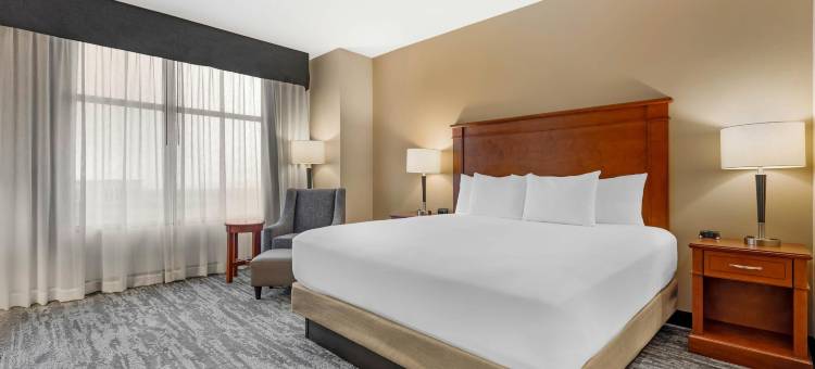 科罗拉多斯普林斯德鲁里套房酒店(Drury Inn & Suites Colorado Springs Near the Air Force Academy)图片