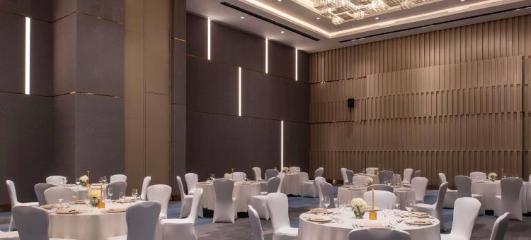 利雅得沙哈法诺富特酒店(Novotel Riyadh Sahafa)图片