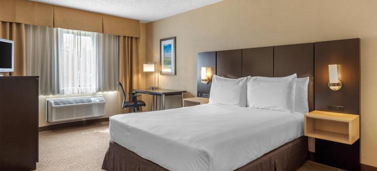 西雅图机场贝斯特韦斯特酒店(Best Western Seattle Airport Hotel)图片