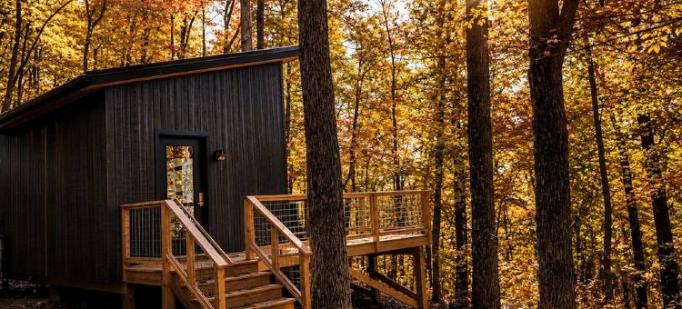 Get back to nature! Unique cabin in the mountains 15 minutes from Asheville N.C.图片