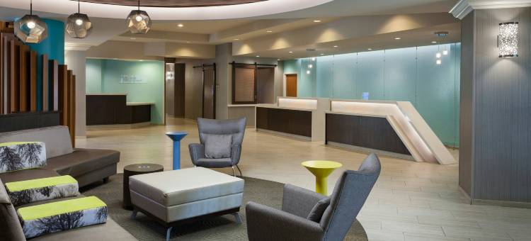 SpringHill Suites酒店奥兰多布埃纳维斯塔湖万豪村(SpringHill Suites by Marriott Orlando Lake Buena Vista in Marriott Village)图片