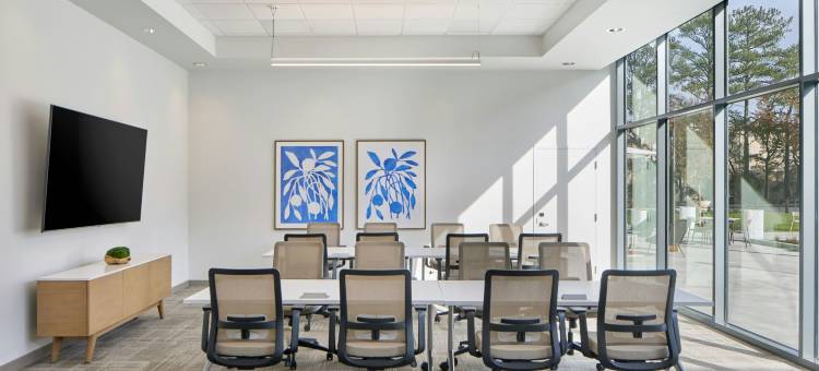 亚特兰大周边中心Element酒店(Element Atlanta Perimeter Center)图片