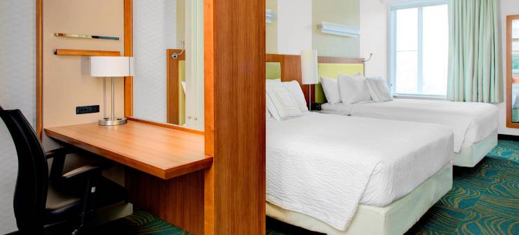 奥古斯塔SpringHill Suites酒店(SpringHill Suites Augusta)图片