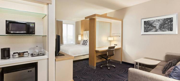 阿塔斯卡德罗SpringHill Suites酒店(SpringHill Suites Paso Robles Atascadero)图片