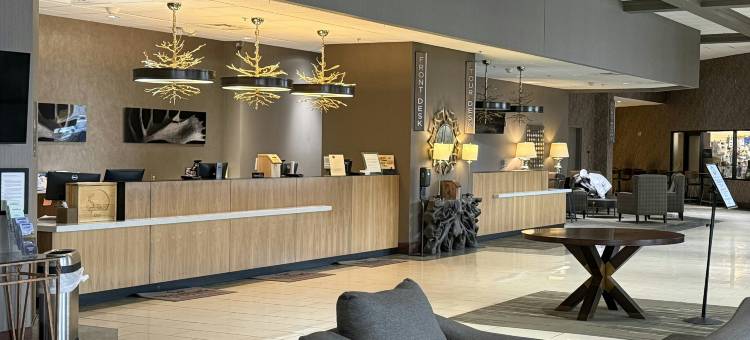 韦斯特马克费尔班克斯酒店及会议中心(Westmark Fairbanks Hotel and Conference Center)图片