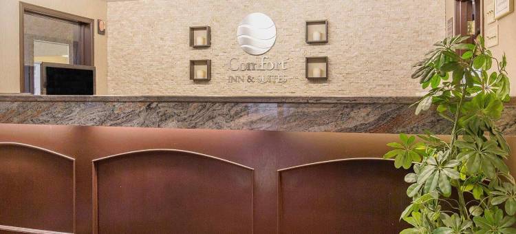 舒适酒店及套房大学(Comfort Inn & Suites University)图片