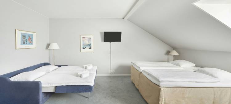 罗斯基勒喜来登福朋灵活酒店(Four Points Flex by Sheraton Roskilde)图片