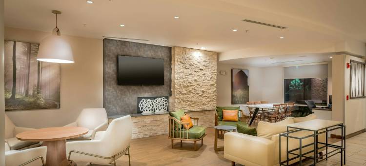 纽布朗费尔斯万枫酒店及套房(Fairfield Inn & Suites New Braunfels)图片