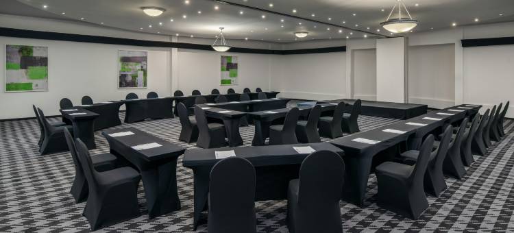 约翰内斯堡机场假日酒店(Holiday Inn JOHANNESBURG AIRPORT by IHG)图片