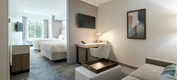 夏洛特诺曼湖/莫尔斯威尔 SpringHill Suites 酒店(SpringHill Suites Charlotte Lake Norman/Mooresville)图片