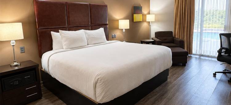 蒙特利机场贝斯特韦斯特优质酒店(Best Western Plus Monterrey Airport)图片
