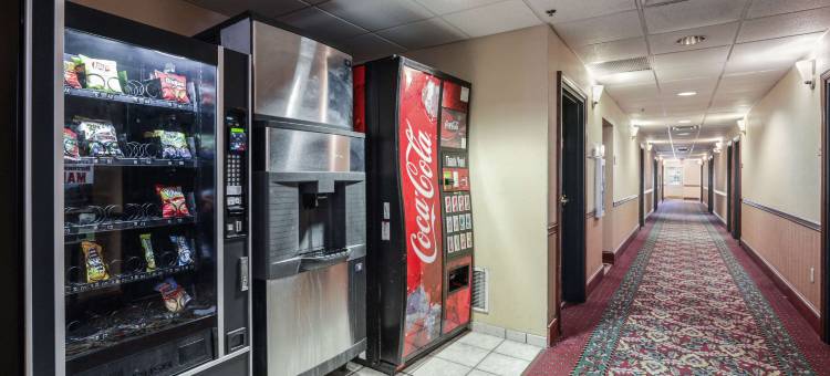 伊克诺套房酒店(Econo Lodge Inn & Suites)图片